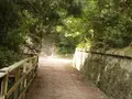 加太・友ケ島の写真_158169