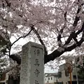 浄真寺の写真_158713