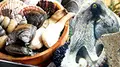 家島漁協釣堀センターの写真_158796