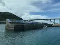 阿嘉港の写真_158847