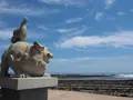 青島神社の写真_158920