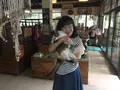 袋田の滝の写真_158958