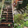 尾道市の写真_159103