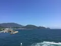 家老渡フェリー乗り場の写真_159211