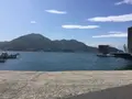 家老渡フェリー乗り場の写真_159218