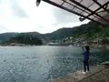 漁港めしの写真_159304