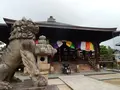 智恩寺の写真_159359