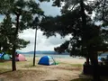 天橋立の写真_159368