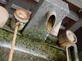 天橋立神社の写真_159375