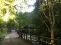 河津七滝の写真_159561