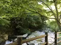 河津七滝の写真_159562