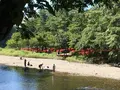 曼珠沙華公園の写真_159897