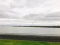 京浜島つばさ公園の写真_159997