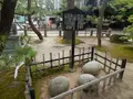 智恩寺の写真_160000