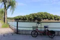 皇居の写真_160138