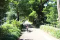 皇居の写真_160139