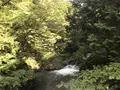 鷹ノ巣山の写真_160171