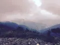 鷹ノ巣山の写真_160172