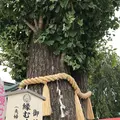 川越八幡宮の写真_160390