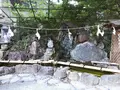 川越熊野神社の写真_160451