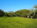 大池遊園の写真_160532