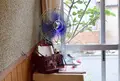菊しんコーヒーの写真_160654
