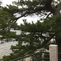 八百富神社（竹島弁天）の写真_160711