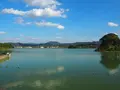 平池緑地公園の写真_160963