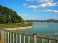 平池緑地公園の写真_160964