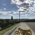カンパーナ六花亭の写真_161483