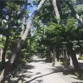 浄真寺の写真_161525