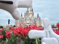 上海ディズニーランド（Shanghai Disneyland /  上海迪士尼乐园）の写真_161656
