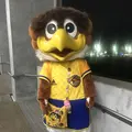 ユアテックスタジアム仙台の写真_161825