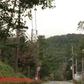 草津温泉の写真_161942