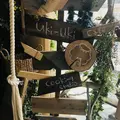 Uki-Ukiの写真_161986