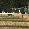 草津白根山の写真_162058