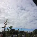 寄居星の王子さまPAの写真_162088