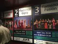 Palau del Flamencの写真_162110