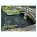 浄智寺の写真_162219