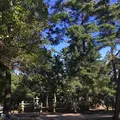 天橋立の写真_162275