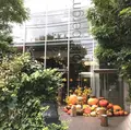 ニコライバーグマン ノム（Nicolai Bergmann NOMU ）の写真_162319