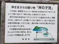 神の子池の写真_162703