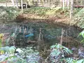 神の子池の写真_162704