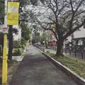 九品仏川緑道 / グリーンストリートの写真_162860