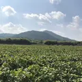 八上上の写真_162959