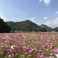 三田市の写真_162967