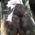 メルヘンの丘の写真_163138