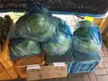 メルヘンの丘の写真_163141