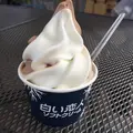 メルヘンの丘の写真_163143