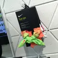 NIKE+ RUN CLUB NAKAMEGUROの写真_163303